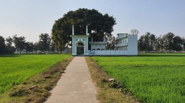अयोध्या में मस्जिद की ज़मीन पर हो रही है धान की खेती